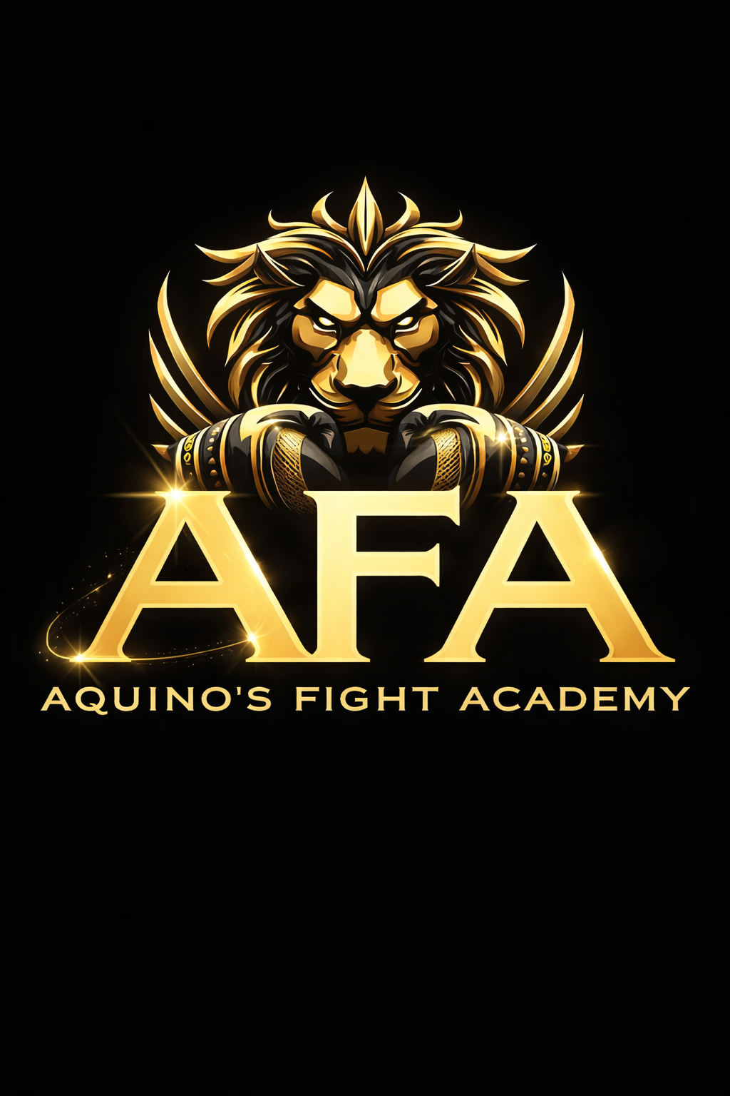 Winterpause bei Aquinos Fight Academy. Neustart am 5. Januar 2026 & Vorbereitung auf kommende Kämpfe